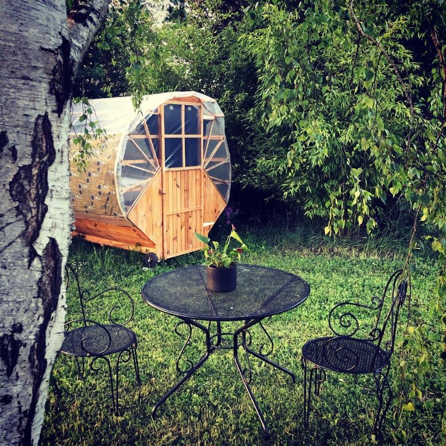 Les Cabanes Du Vigne Molandier Dış mekan fotoğraf